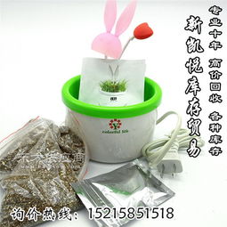 义乌市高悦日用百货商行 打造便捷生活的一站式购物平台