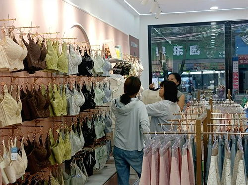 芭妮雅新店开业 9月服装旺季，解锁稳定盈利投资新选择